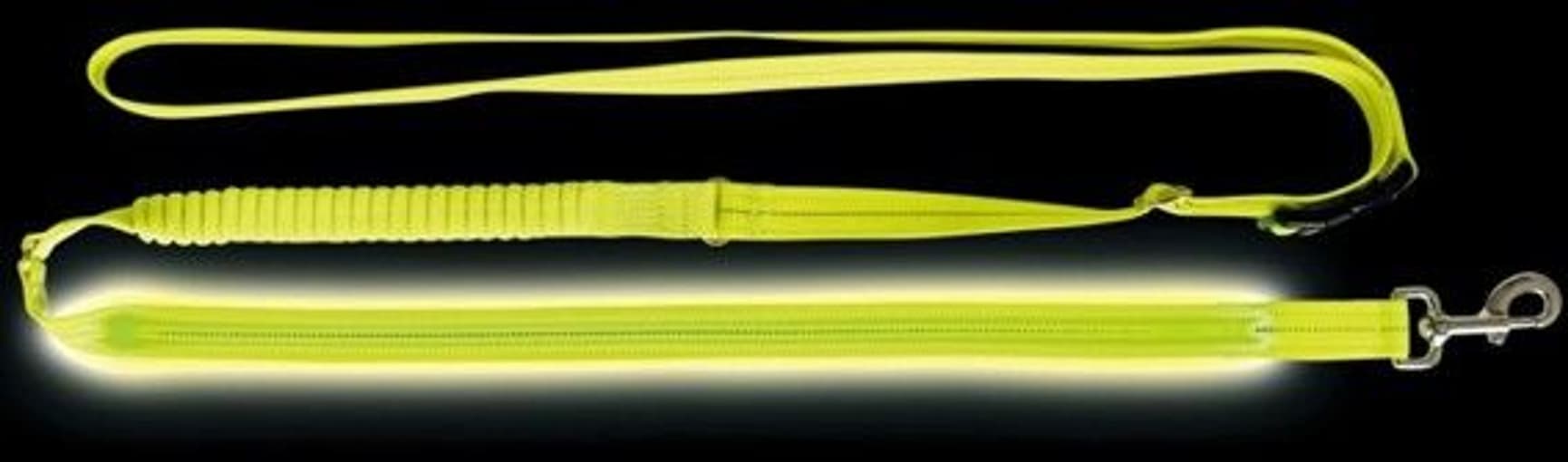 Flash Joggingkoppel USB 185-255 cm/25 mm Neon, view: 1