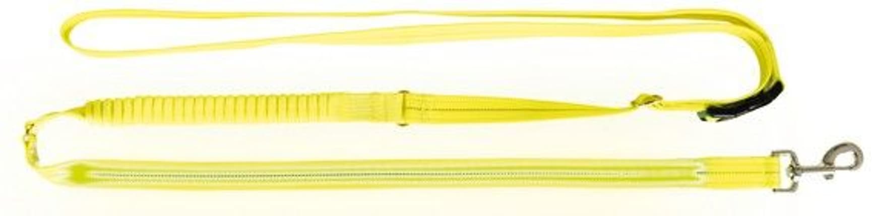 Flash Joggingkoppel USB 185-255 cm/25 mm Neon, view: 0