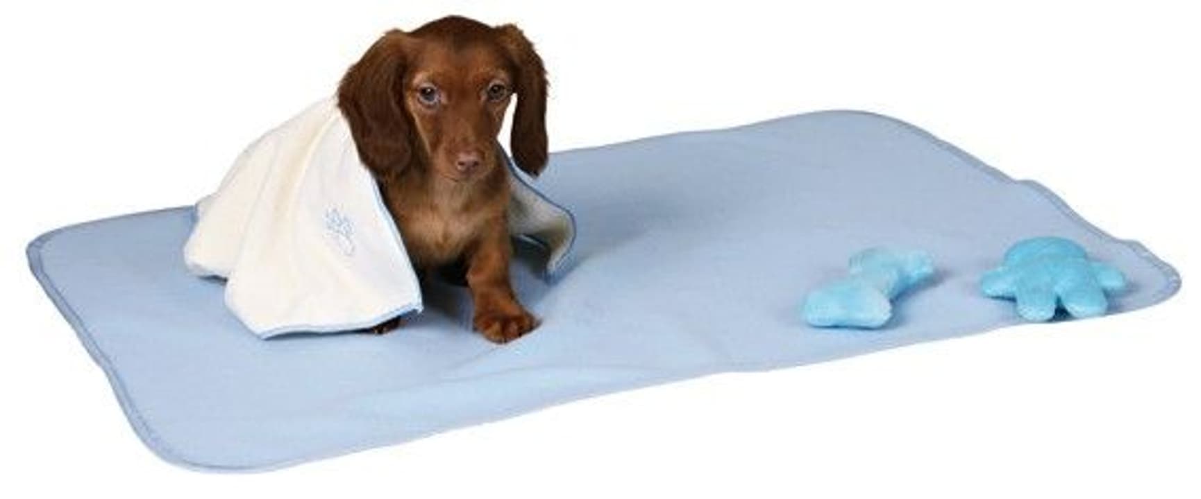 Valpset Filt+Handduk+2 Leksaker Ljusblå, view: 0