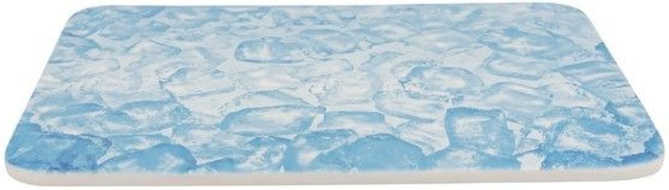 Kylplatta för kanin/marsvin 28X20cm Blå, view: 0