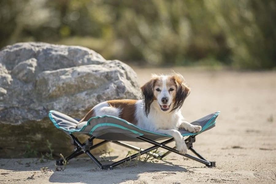 Campingsäng 69x20x69 cm Mörkgrå/Petrol, view: 9