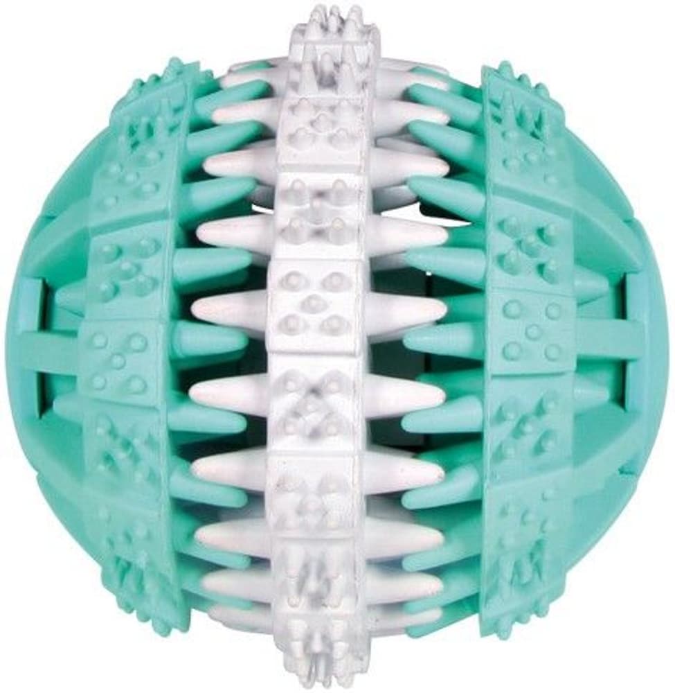 Denta Fun Boll m Mintsmak Naturgummi Ø7 cm, view: 0