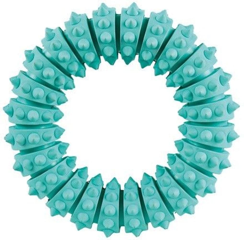 Denta Fun Ring Mintfresh Naturgummi Ø 12 cm, view: 0