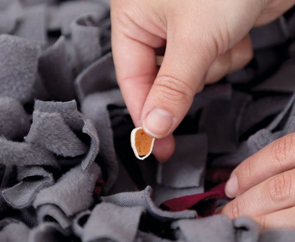 Dog Activity Sniffing Carpet Nivå 1 50 x 34 cm, view: 1