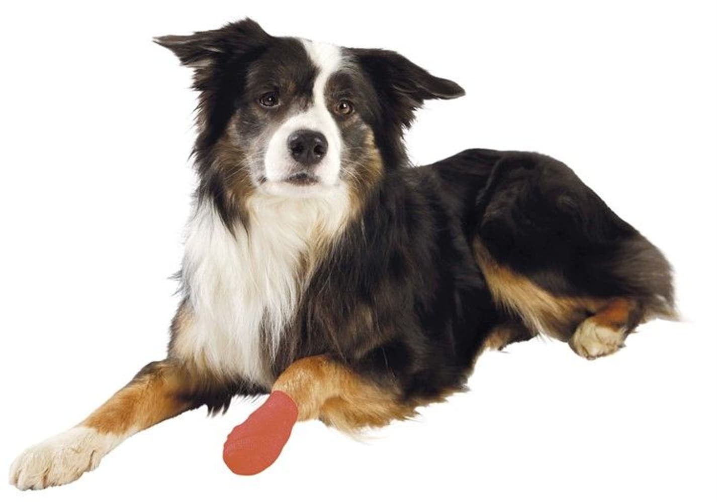 Bandagebinda Självhäftande 5 cm/4,5 m 4-pack, view: 3