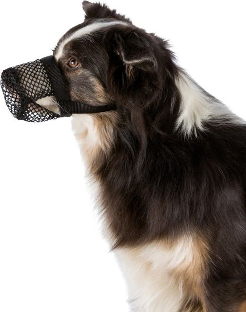 Skyddskorg Förgiftning Polyester XS Svart, view: 1