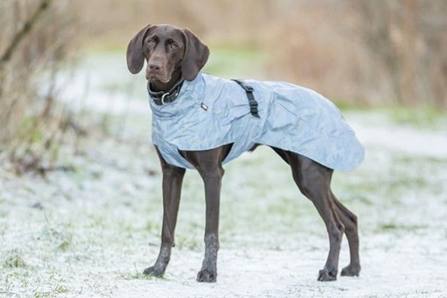 Lunas Regntäcke Helreflex Silverblå 25-33cm, view: 3