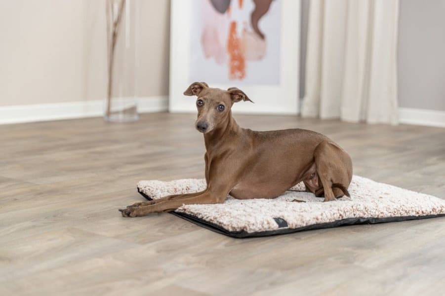 Calida Liggmatta Värmereflekterande 80 x 55 cm, view: 8