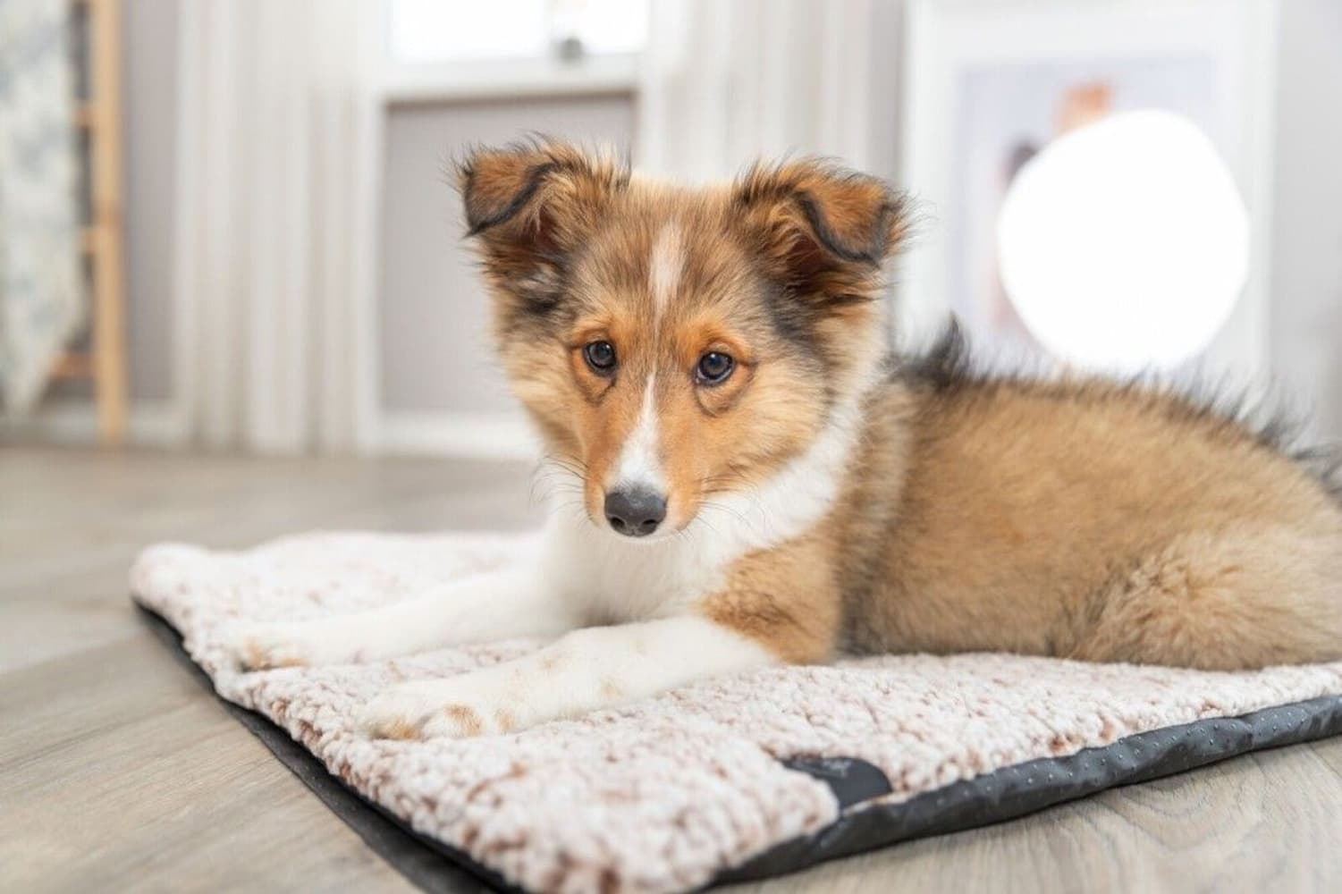 Calida Liggmatta Värmereflekterande 80 x 55 cm, view: 7