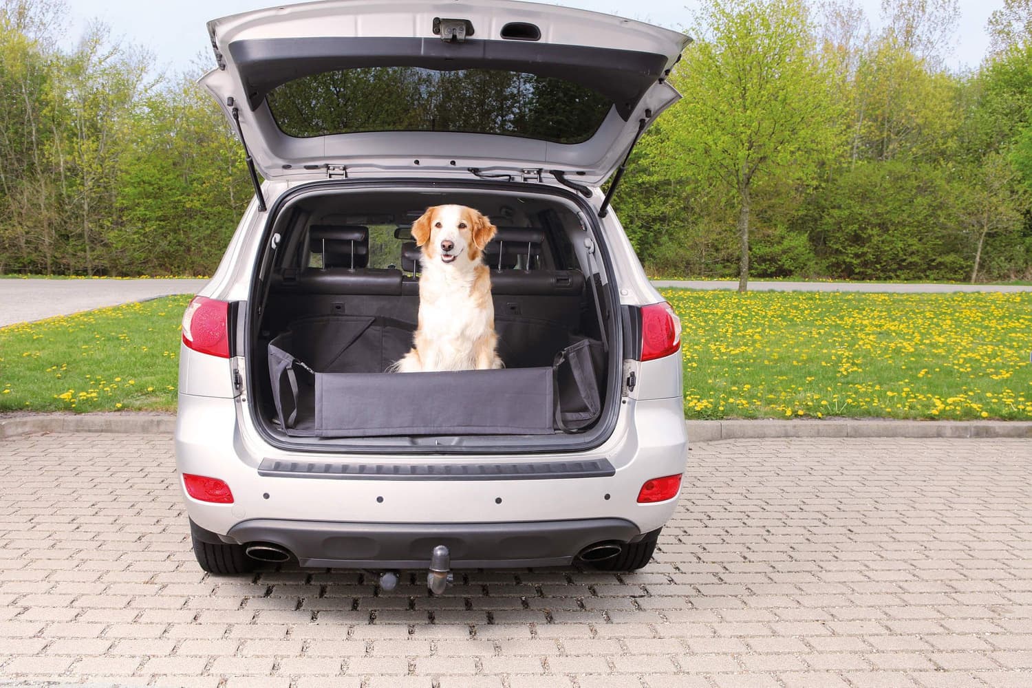 Bilskydd För Lastutrymme Kofångarskydd 164X125 cm, view: 1