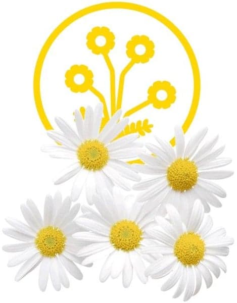 Dental Sticks Calming 100 g, view: 3