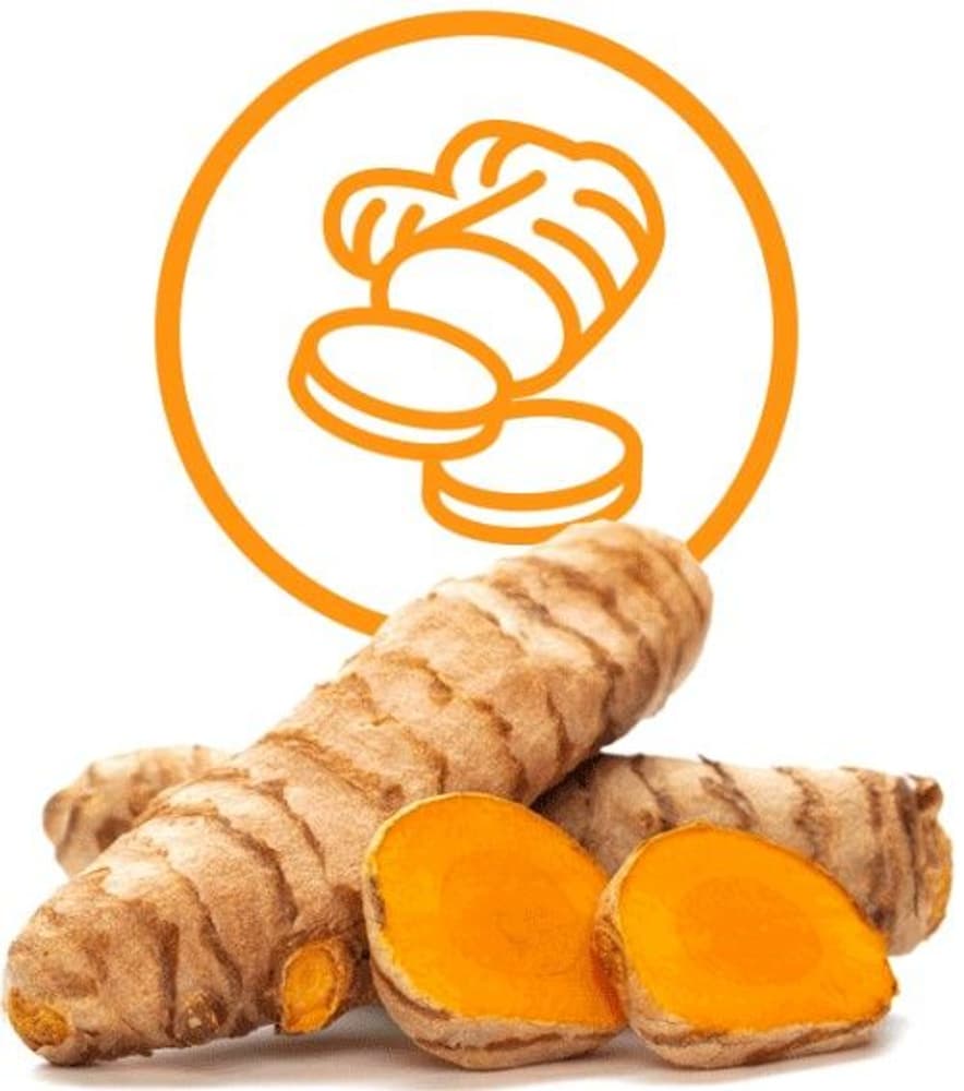 Dental Sticks Hip & Joint 100 g, view: 2