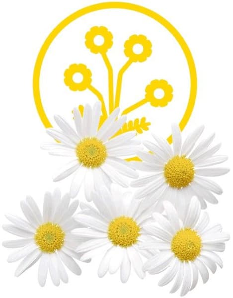 Dental Sticks Calming Large 125 g, view: 3