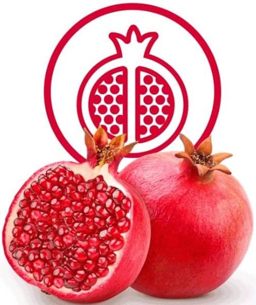 Dental Sticks Skin & Coat Large 125 g, view: 3