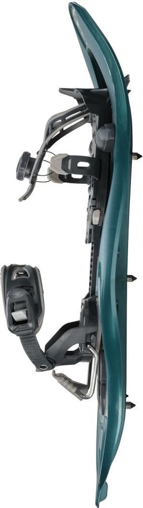 TSL 325 Original 2 Sapin, view: 1