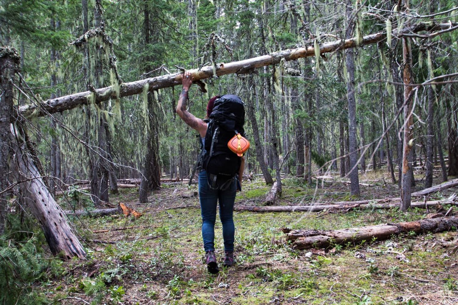 Mess Kit 4 Pieces Venture, view: 5