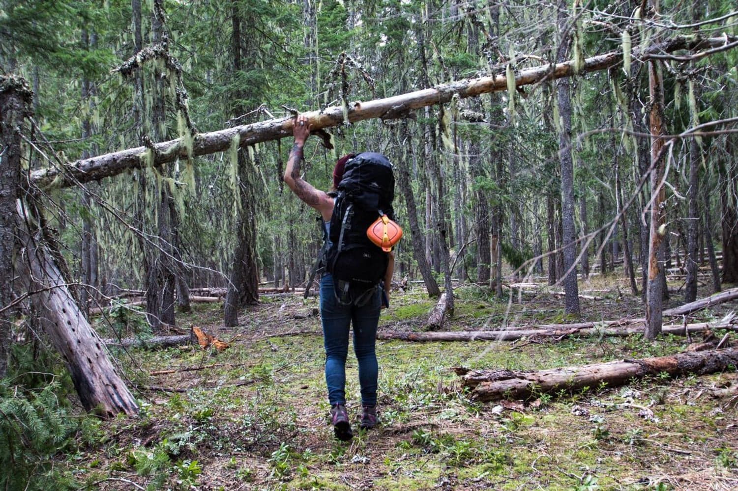 Mess Kit 6 Pieces Venture, view: 3