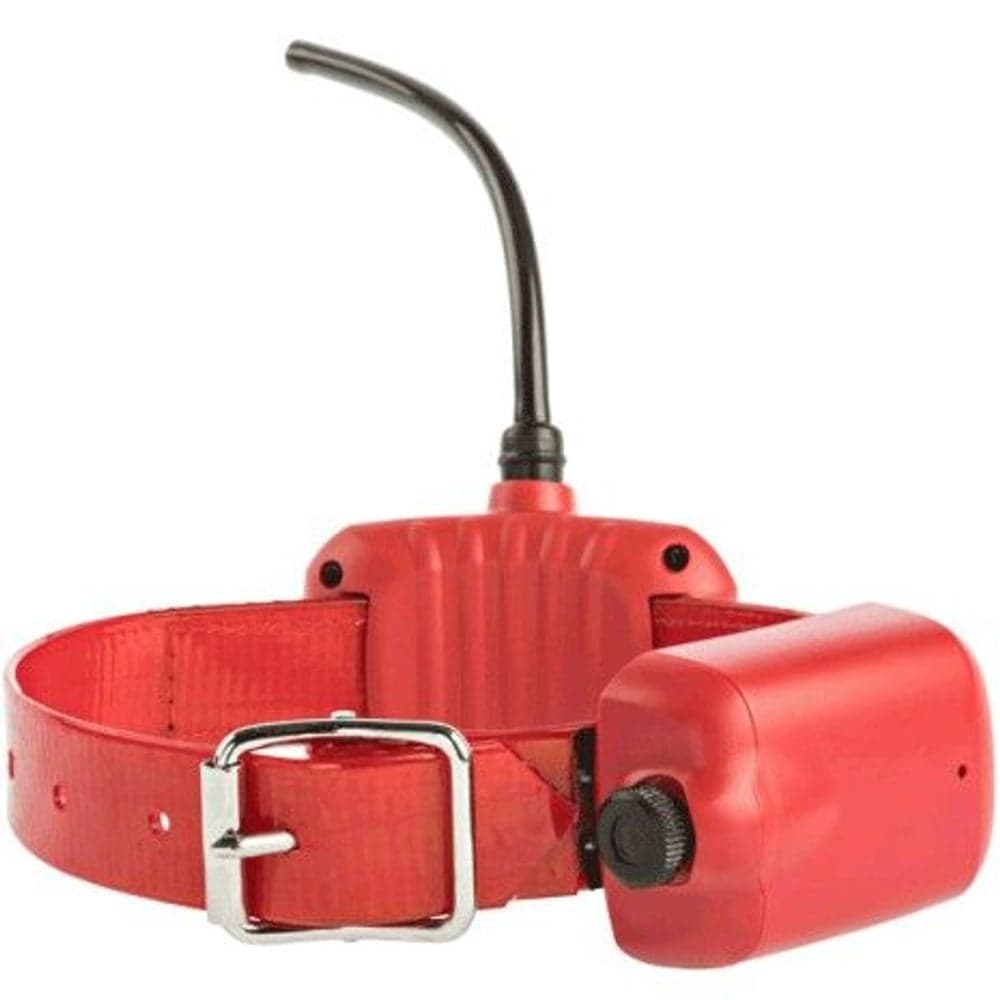 Hund-GPS P4 Halsband Large, view: 0
