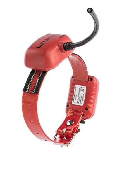 Hund-GPS P2 Halsband Small, view: 0