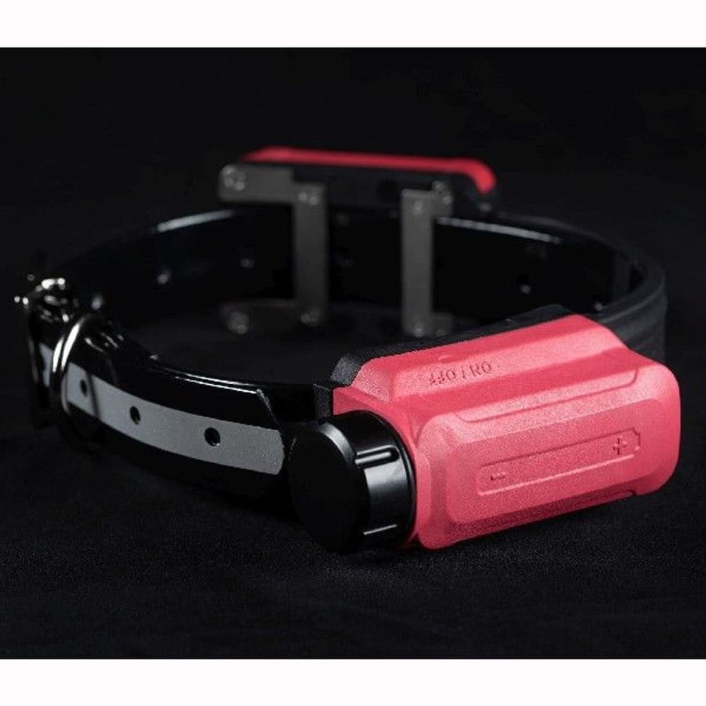 R10 Dog Radar, built-in antenna, view: 2