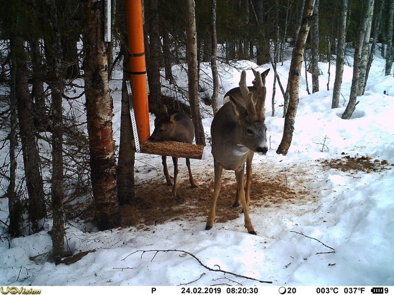 UV557 Mini 8MP, view: 4