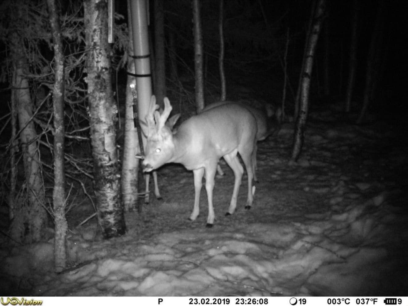 UV557 Mini 8MP, view: 1