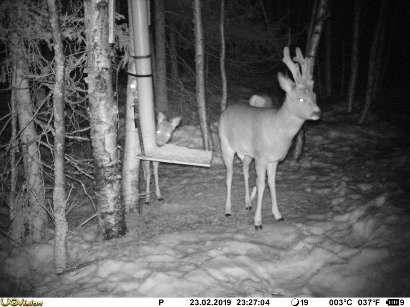 UV557 Mini 8MP, view: 2