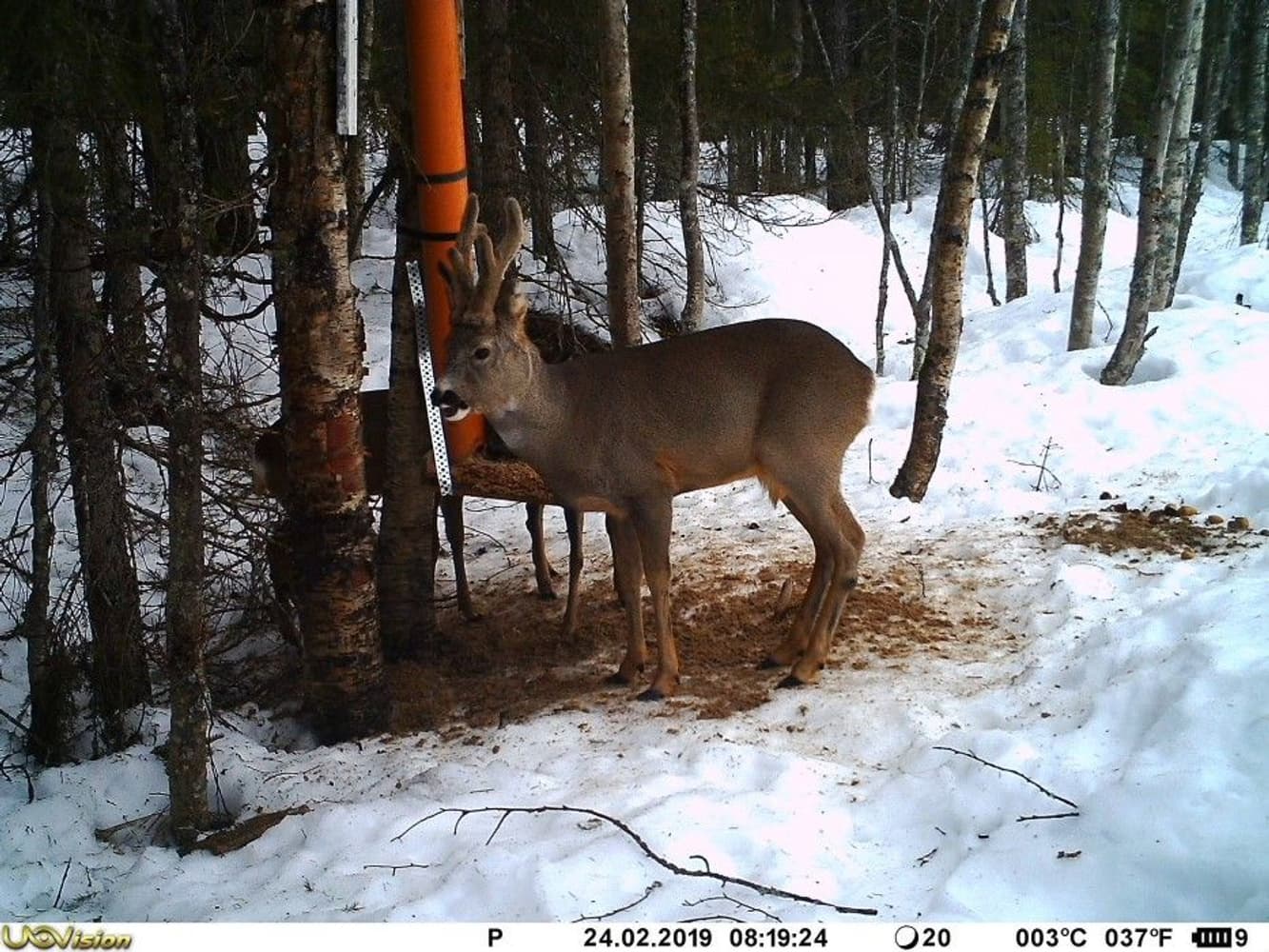 UV557 Mini 8MP, view: 3