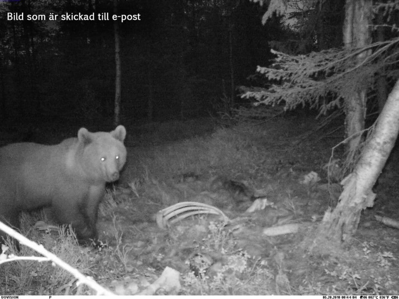 UOVision UM595-3G MMS/GPRS/SMS Sändande, view: 9