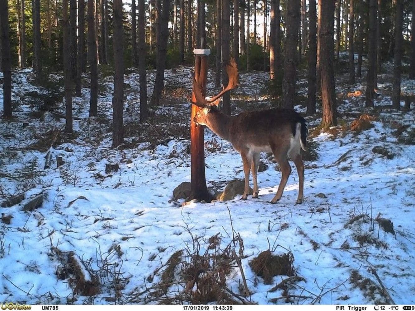 UOVision UM785-3,75G HD MMS/GPRS/SMS Sändande, view: 14