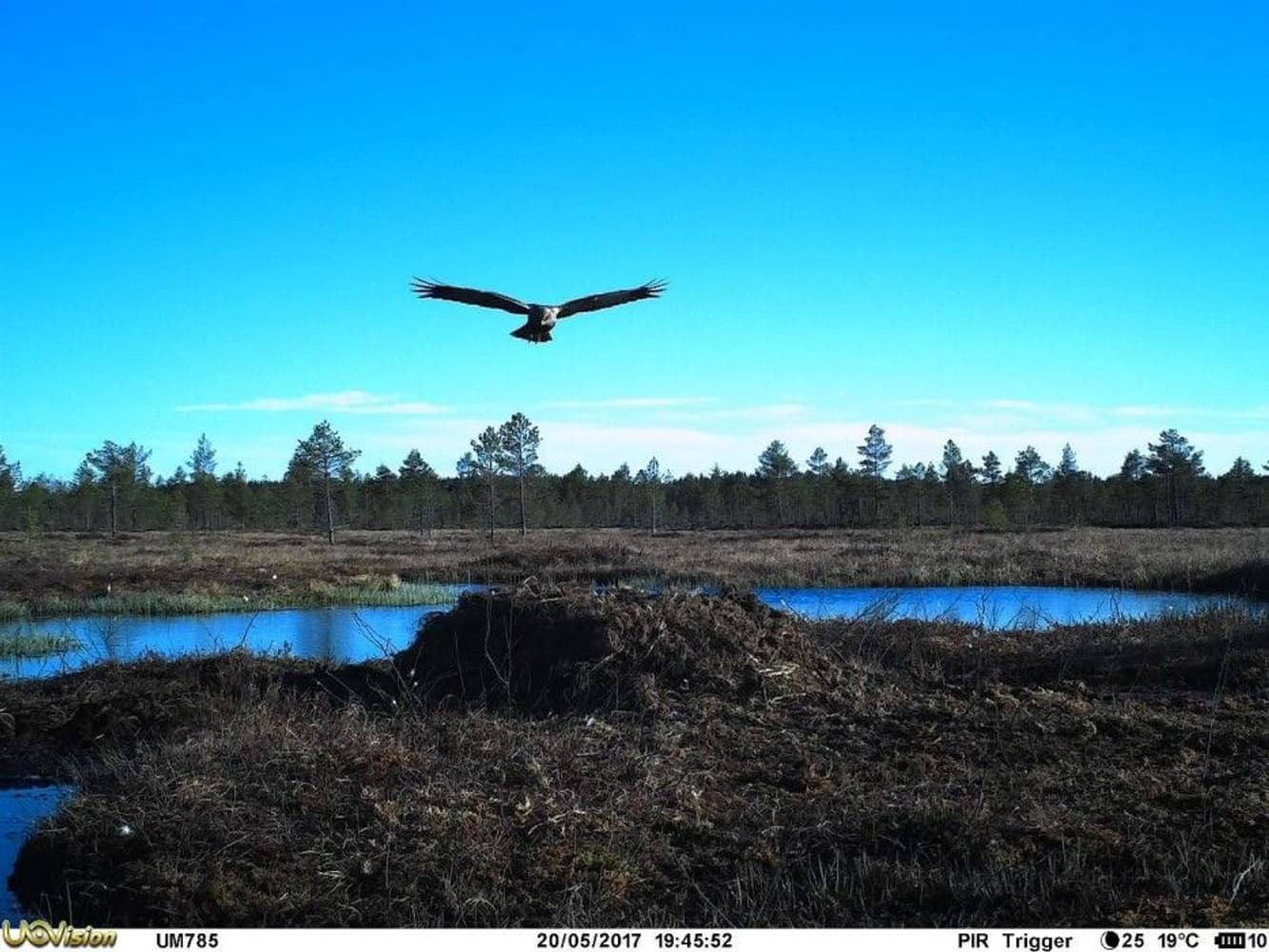 UOVision UM785-3,75G HD MMS/GPRS/SMS Sändande, view: 13