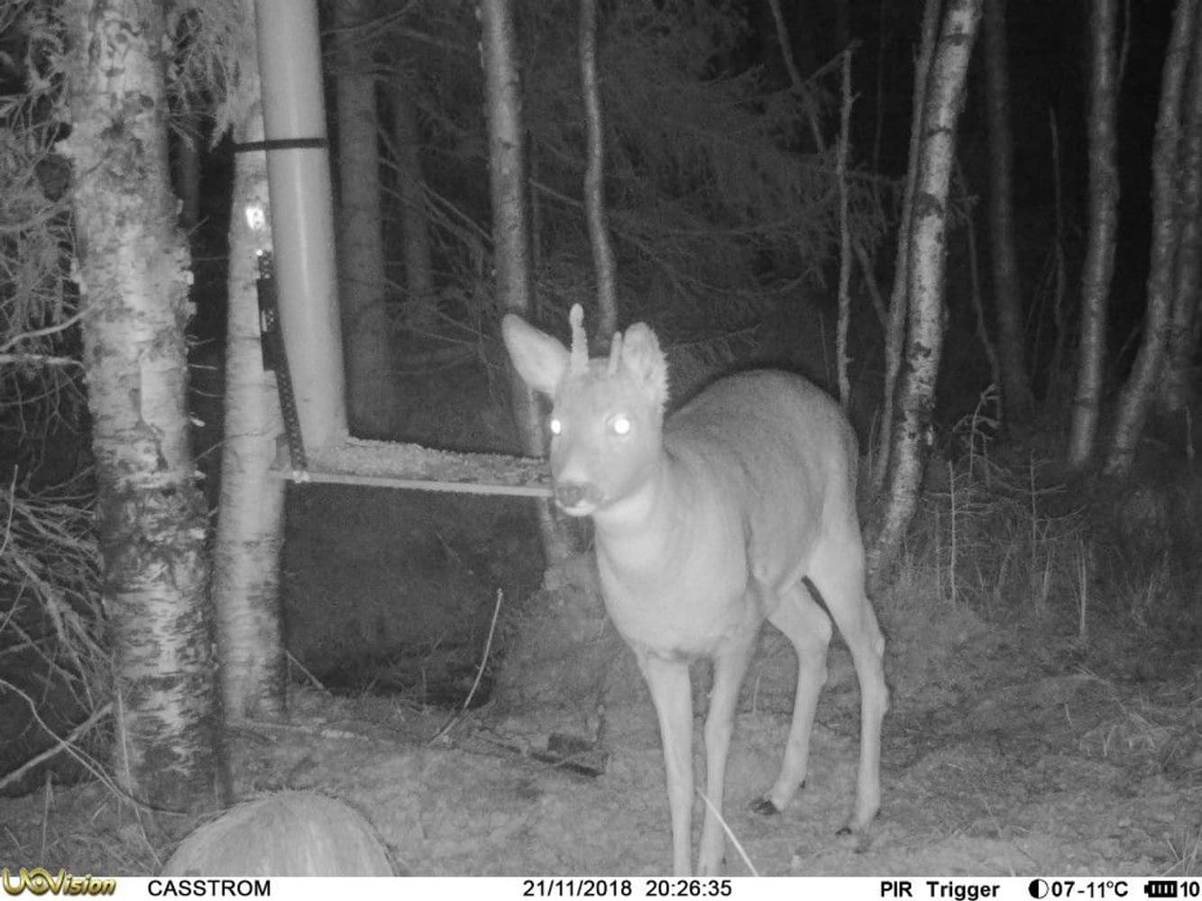 UOVision UM785-3,75G HD MMS/GPRS/SMS Sändande, view: 15