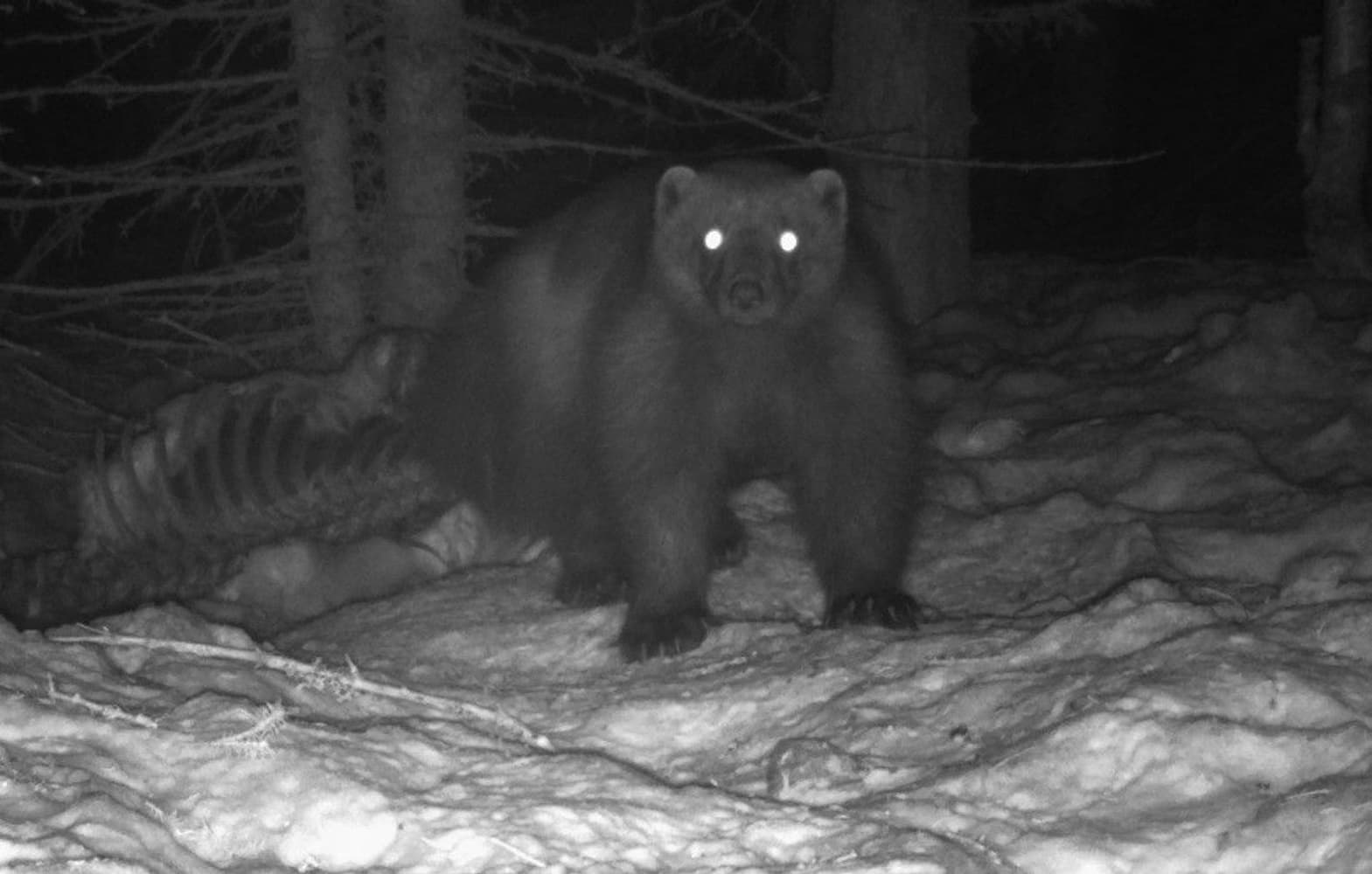 UOVision UM785-3,75G HD MMS/GPRS/SMS Sändande, view: 10