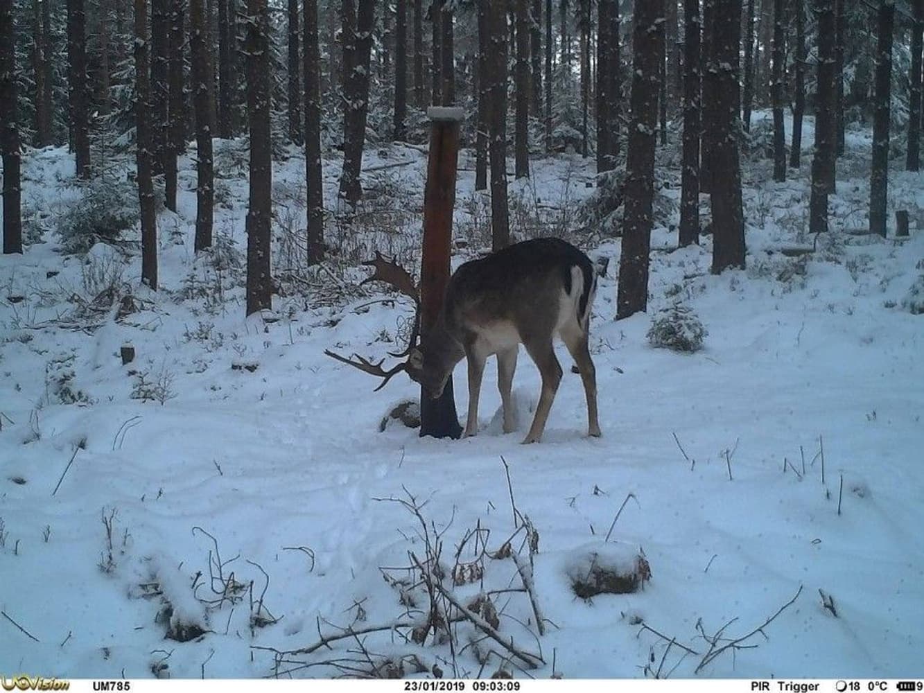 UOVision UM785-3,75G HD MMS/GPRS/SMS Sändande, view: 11