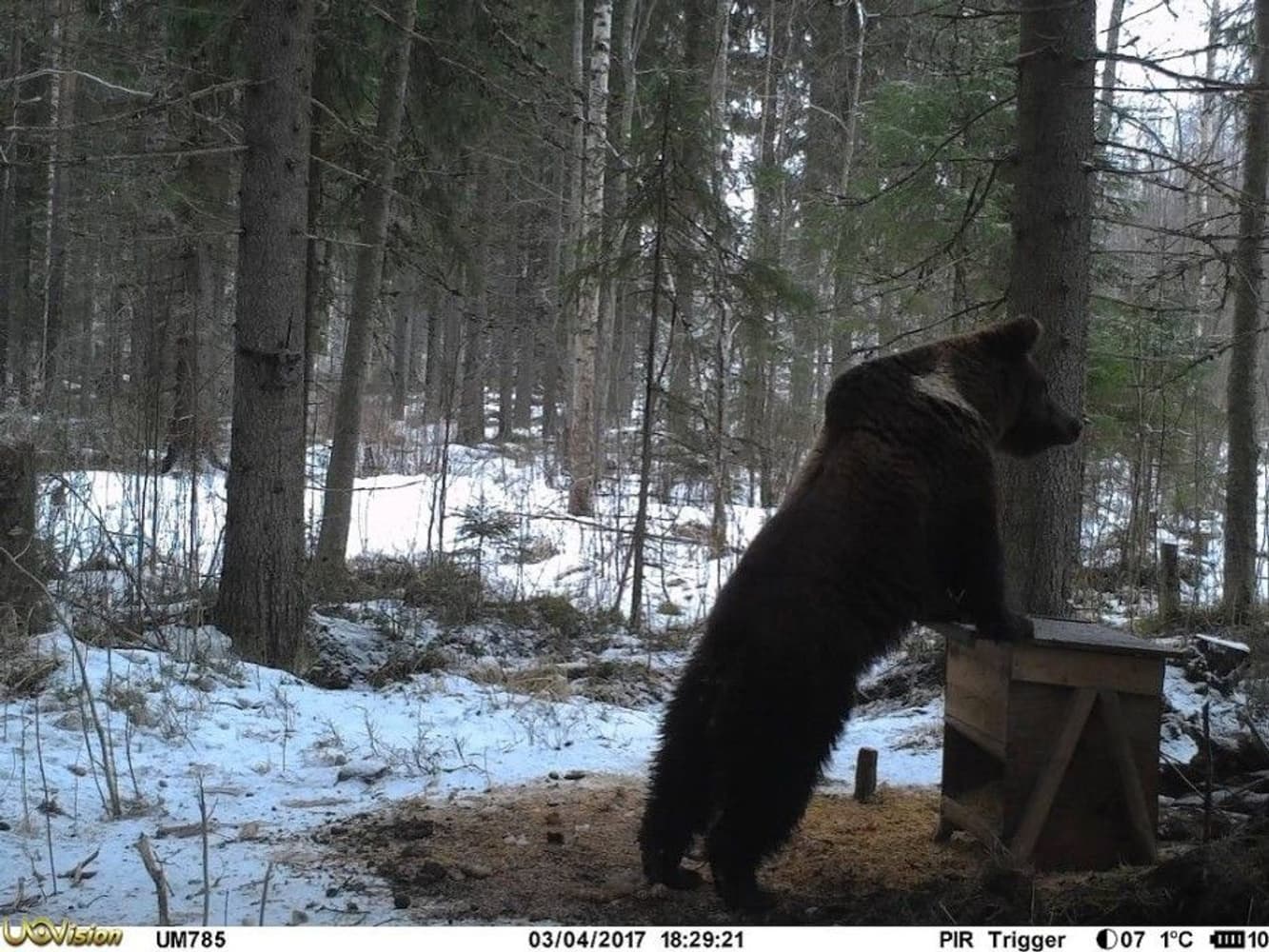 UOVision UM785-3,75G HD MMS/GPRS/SMS Sändande, view: 16