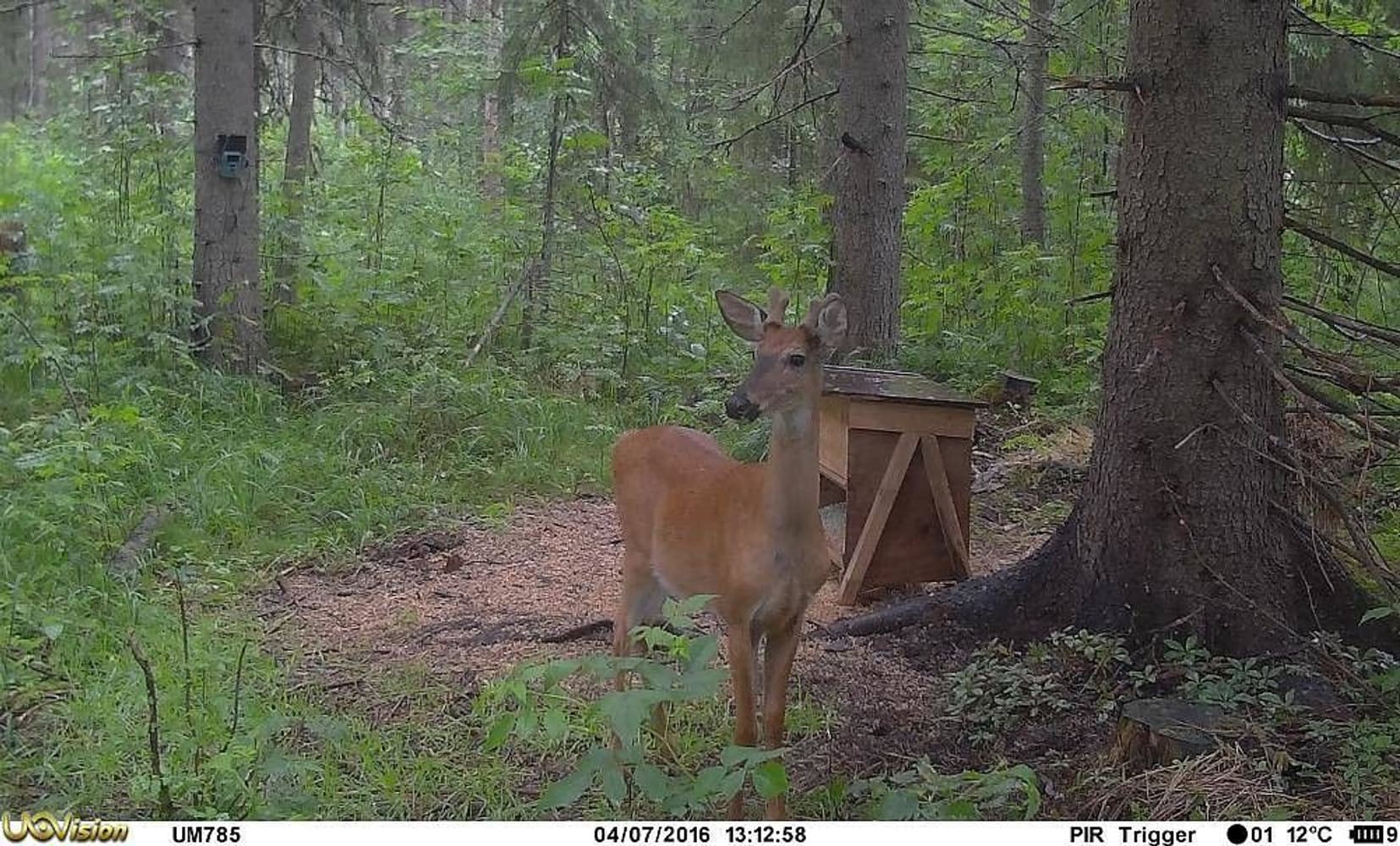 UOVision UM785-3,75G HD MMS/GPRS/SMS Sändande, view: 12