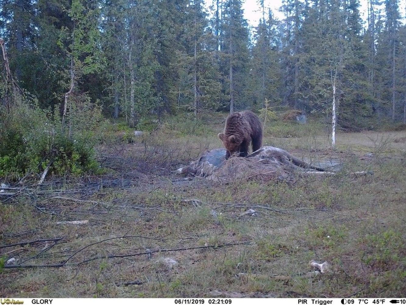 UOVision Glory 4G LTE Cloud - APP Övervakningskamera, view: 4