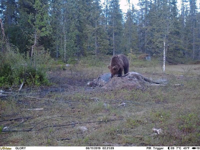 UOVision Glory 4G LTE Cloud - APP Övervakningskamera, view: 4