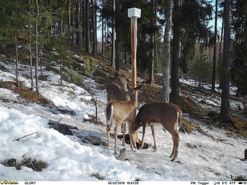 UOVision Glory 4G LTE Cloud - APP Övervakningskamera, view: 3