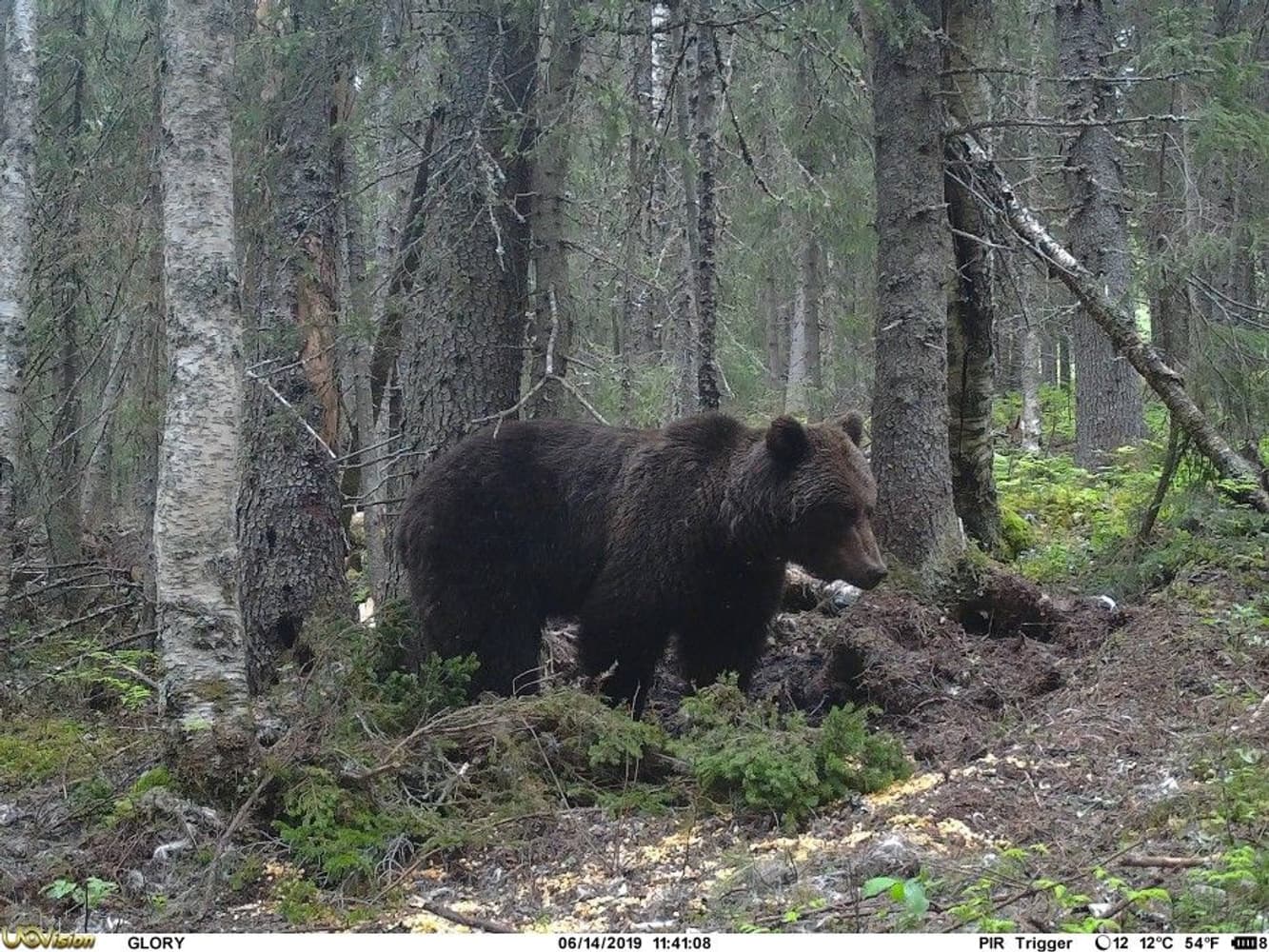 UOVision Glory 4G LTE Cloud - APP Övervakningskamera, view: 6