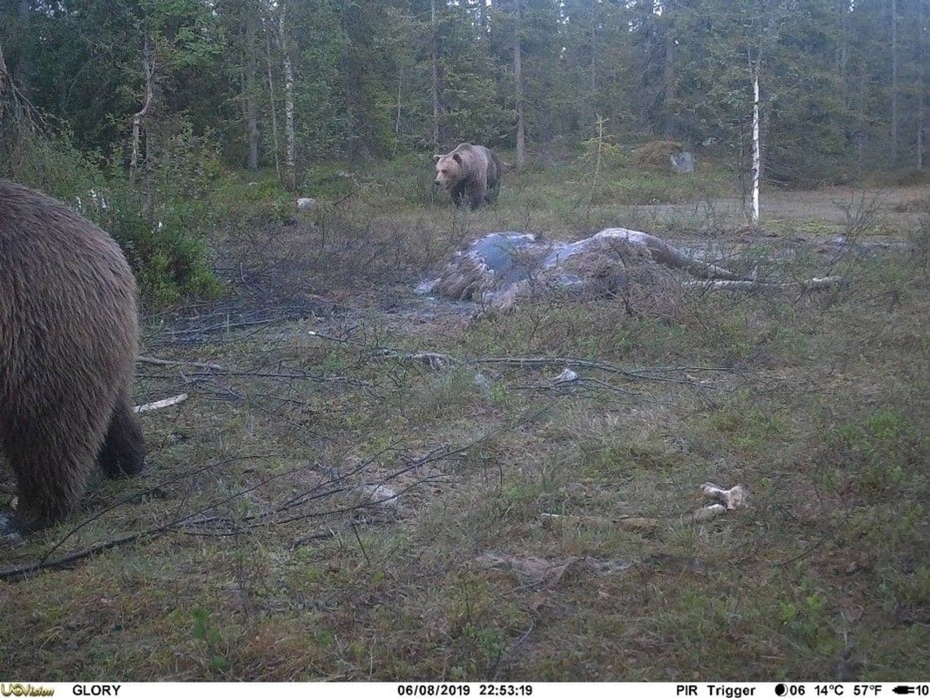 UOVision Glory 4G LTE Cloud - APP Övervakningskamera, view: 5