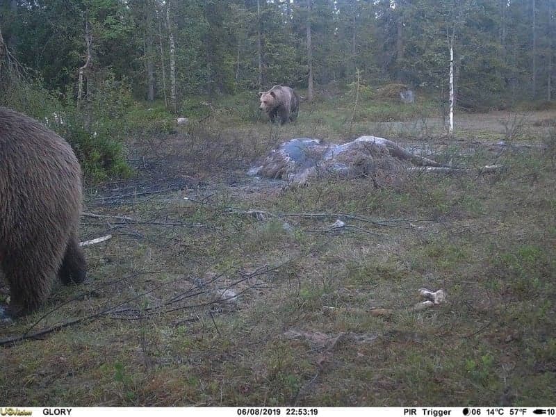 UOVision Glory 4G LTE Cloud - APP Övervakningskamera, view: 5