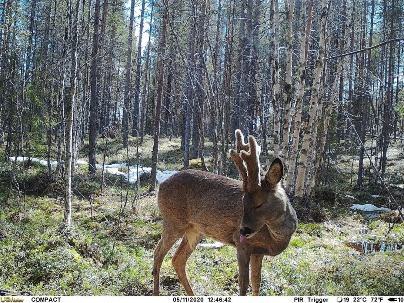 UOVision Compact LTE 4G 20mp Cloud - APP Övervakningskamera, view: 3