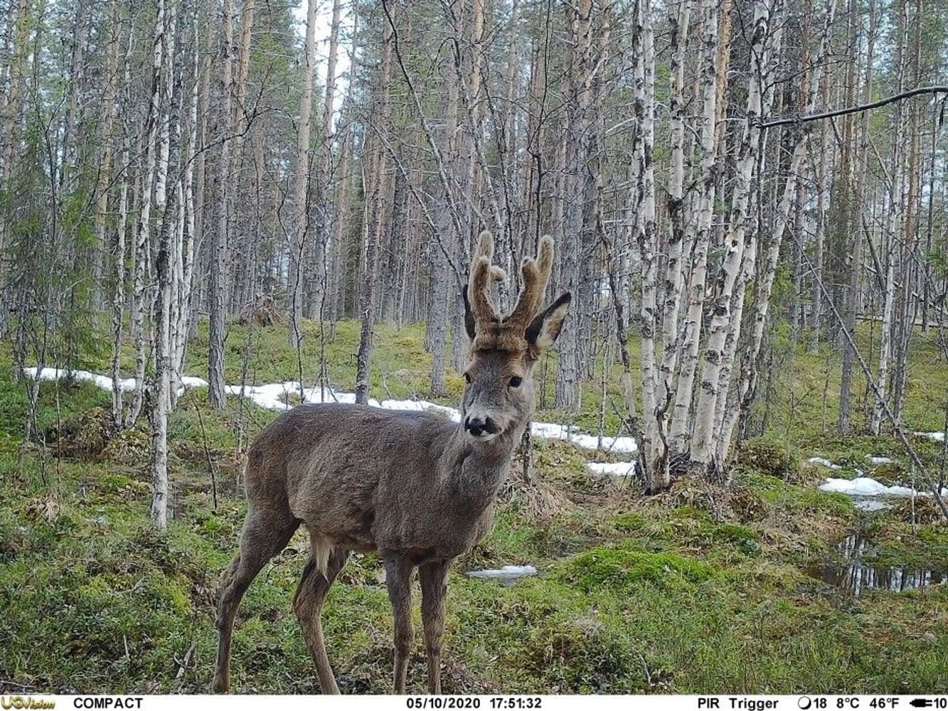 UOVision Compact LTE 4G 20mp Cloud - APP Övervakningskamera, view: 4