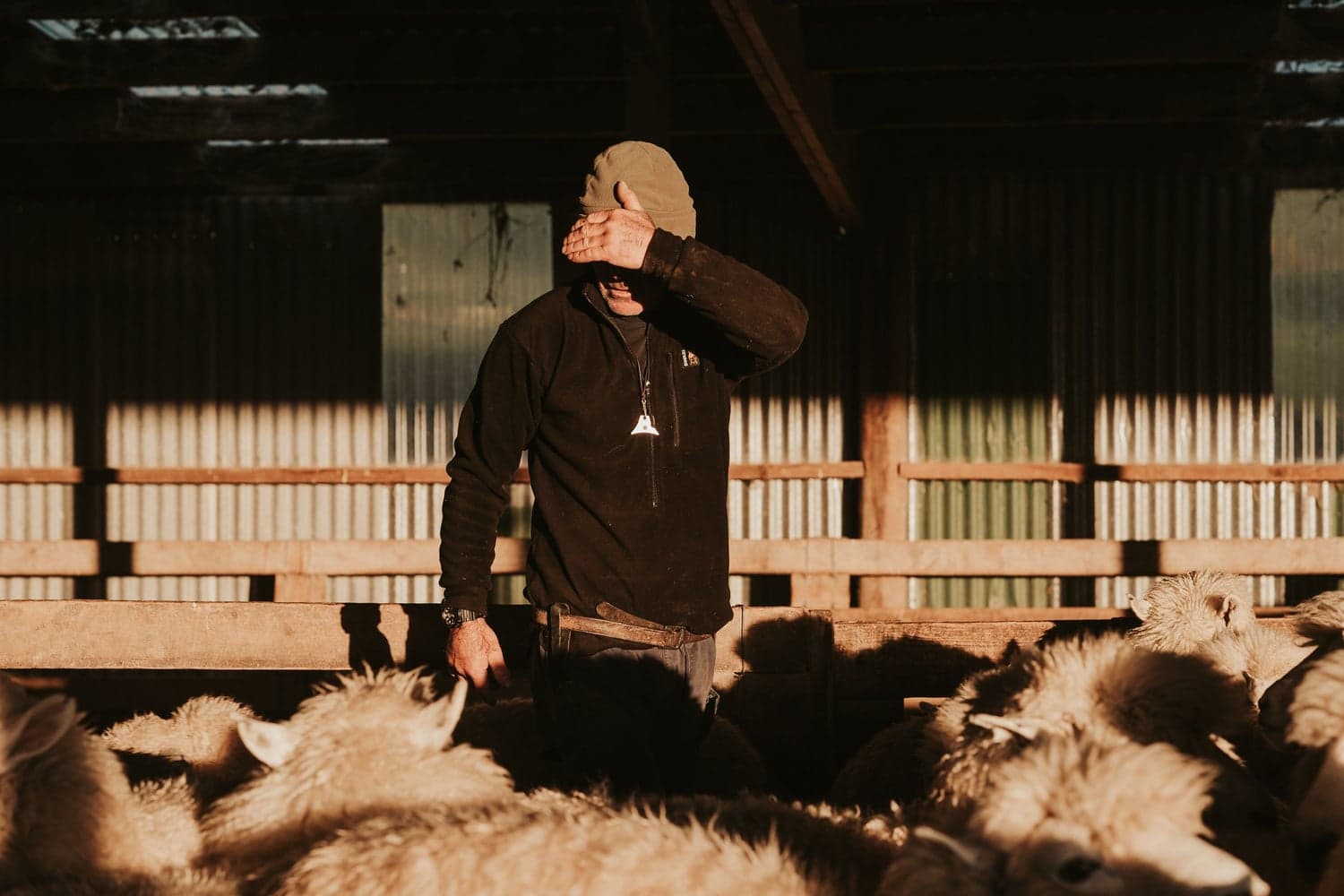 Bush Shirt Tussock, view: 4