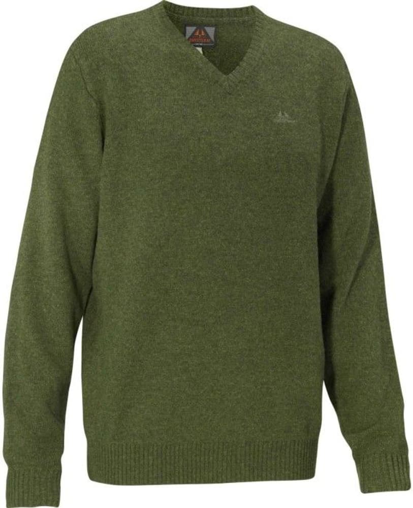 Harry Men Sweater Green, view: 0