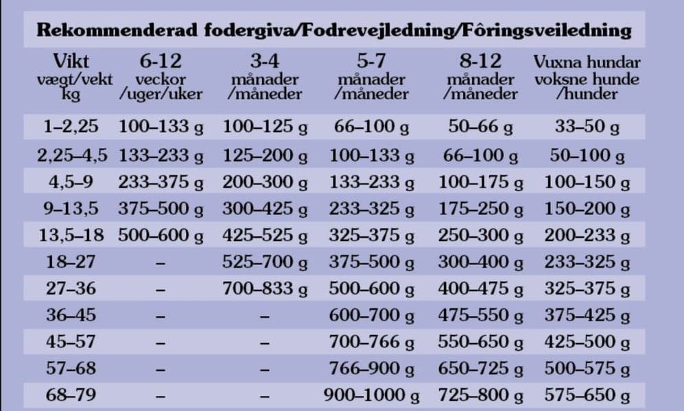 Sierra Mountain Lamb 2 kg, view: 1