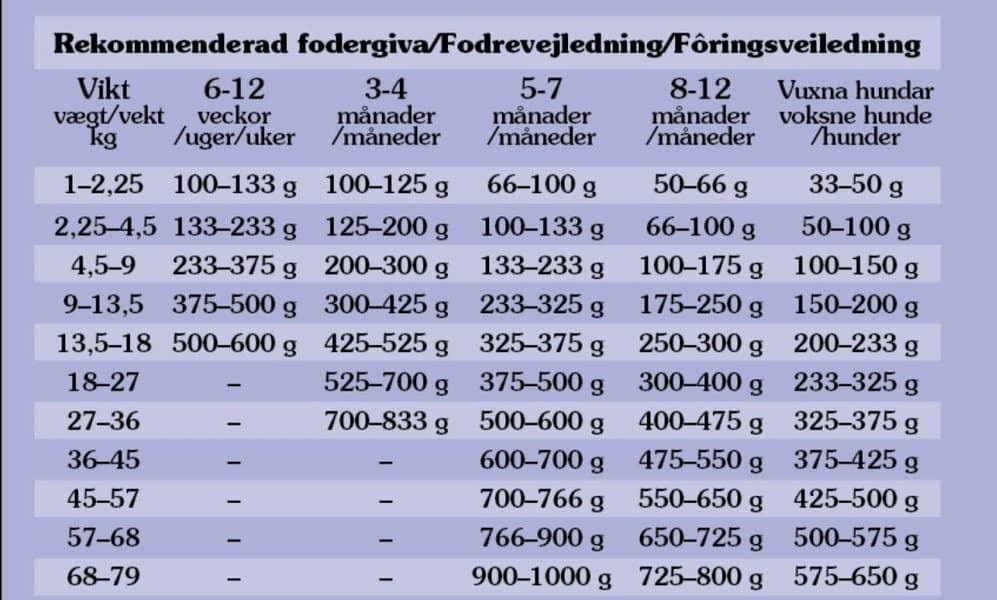 Sierra Mountain Lamb 12,2 kg, view: 1