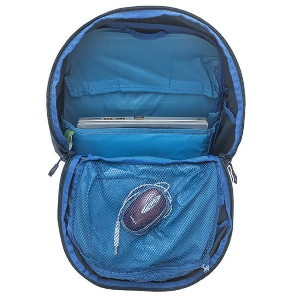Prokyon Zip, view: 7