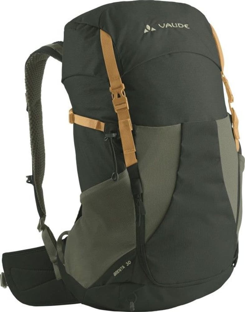 Brenta 30 Cedar Wood, view: 0